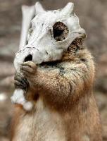 michalek1 - zdjęcie