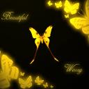 dashwooda2618 - zdjęcie