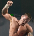 randy - zdjęcie