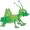 Grasshoppers - zdjęcie
